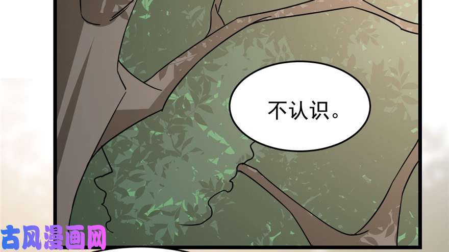 毒步天下：特工神医小兽妃66