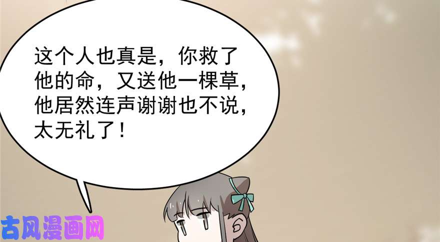 毒步天下：特工神医小兽妃66