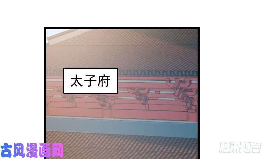 毒步天下：特工神医小兽妃67