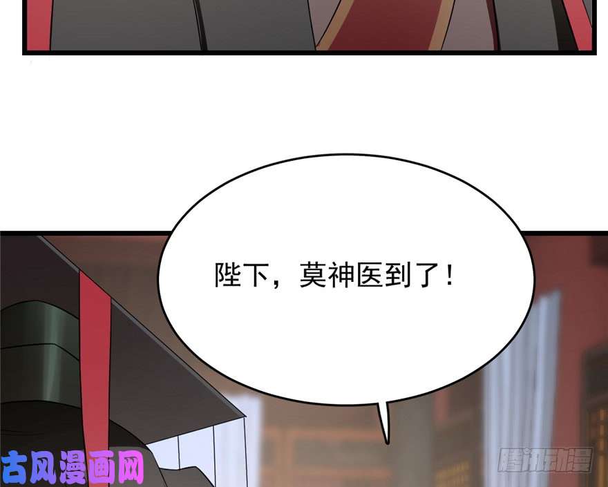 毒步天下：特工神医小兽妃67