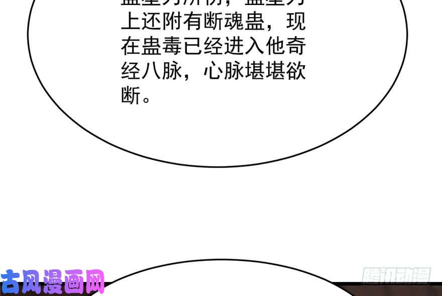 毒步天下：特工神医小兽妃67