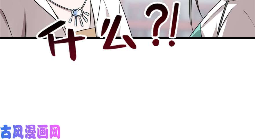 毒步天下：特工神医小兽妃67