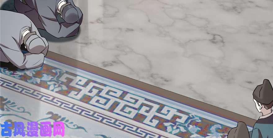 毒步天下：特工神医小兽妃67