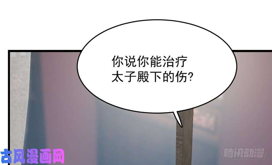 毒步天下：特工神医小兽妃67