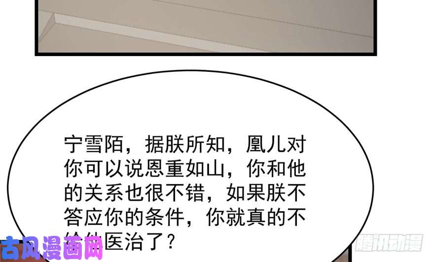 毒步天下：特工神医小兽妃68