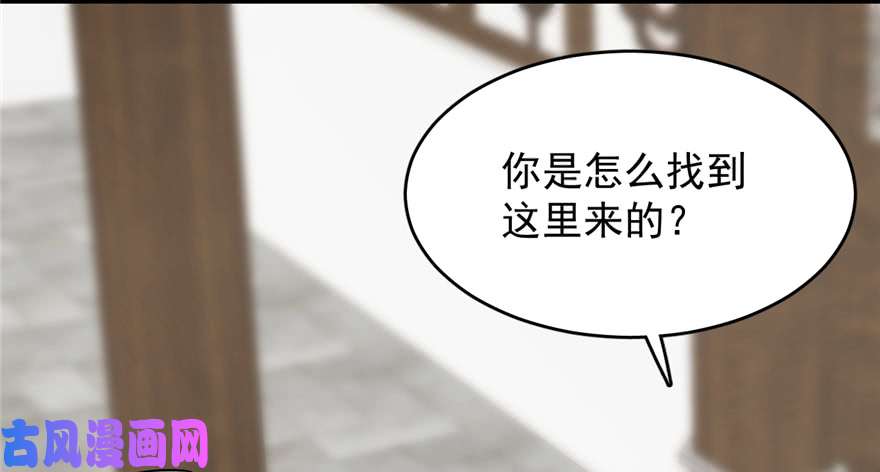 毒步天下：特工神医小兽妃69