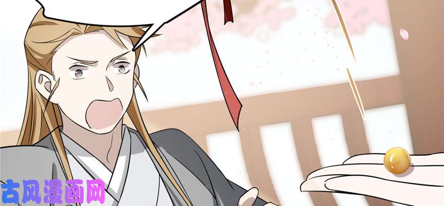 毒步天下：特工神医小兽妃70