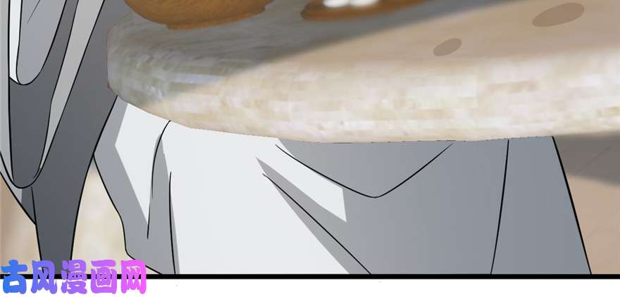 毒步天下：特工神医小兽妃70