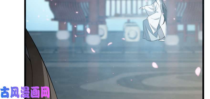 毒步天下：特工神医小兽妃70