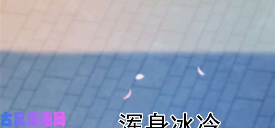 毒步天下：特工神医小兽妃70