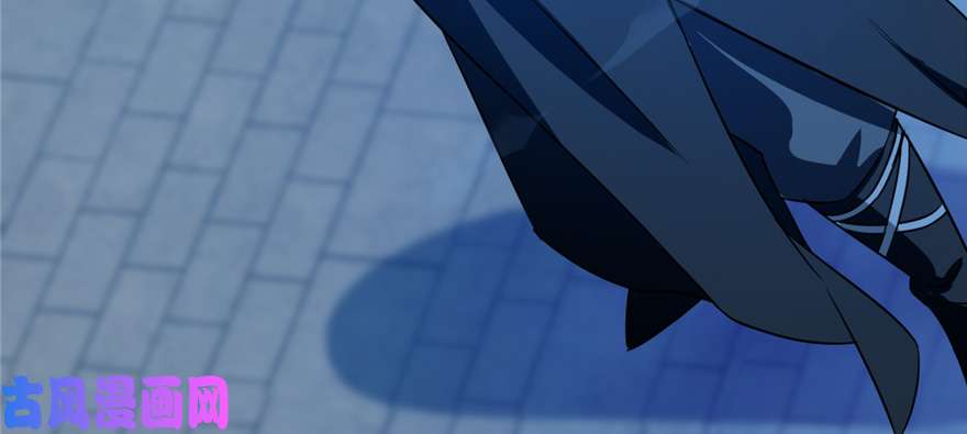 毒步天下：特工神医小兽妃70