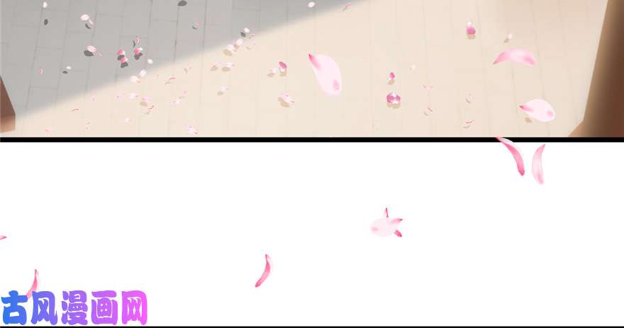 毒步天下：特工神医小兽妃70