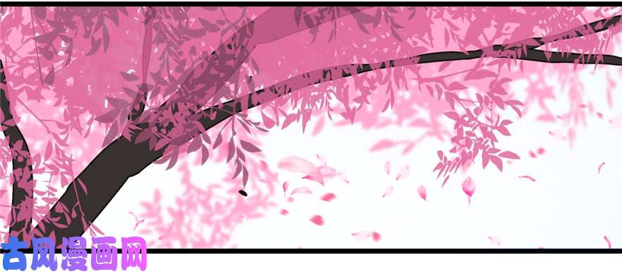 毒步天下：特工神医小兽妃70