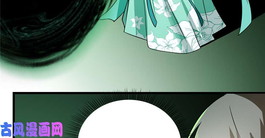 毒步天下：特工神医小兽妃71