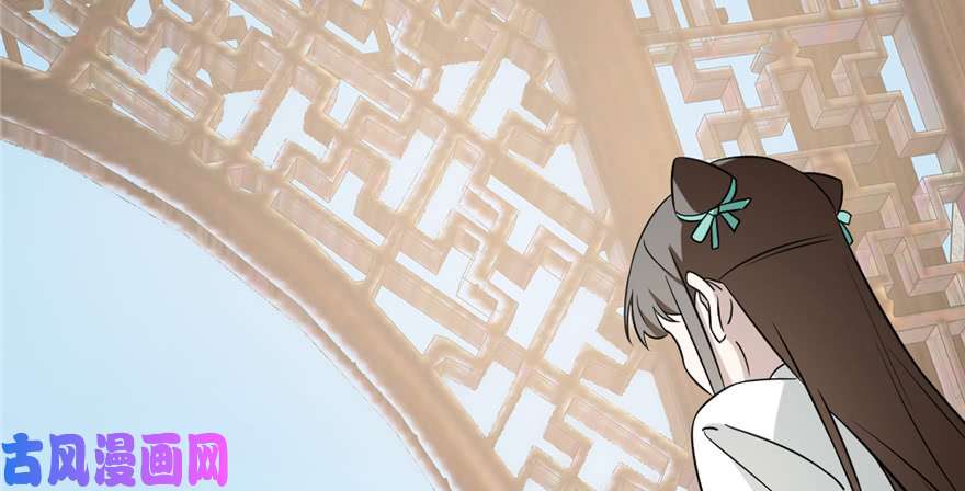 毒步天下：特工神医小兽妃71