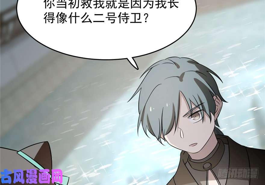 毒步天下：特工神医小兽妃71