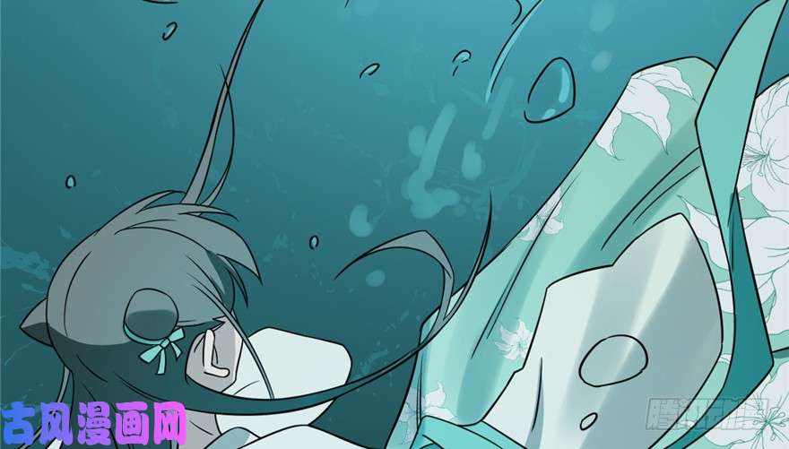 毒步天下：特工神医小兽妃72