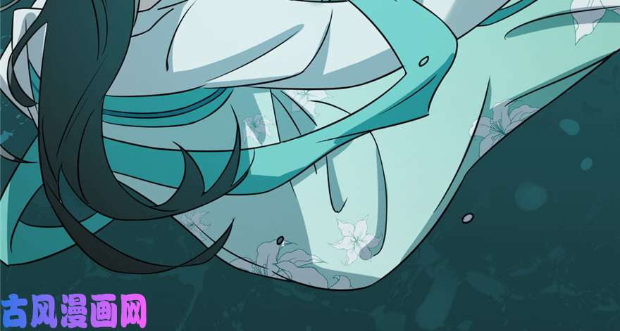 毒步天下：特工神医小兽妃72