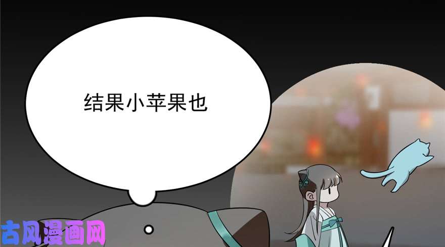 毒步天下：特工神医小兽妃72