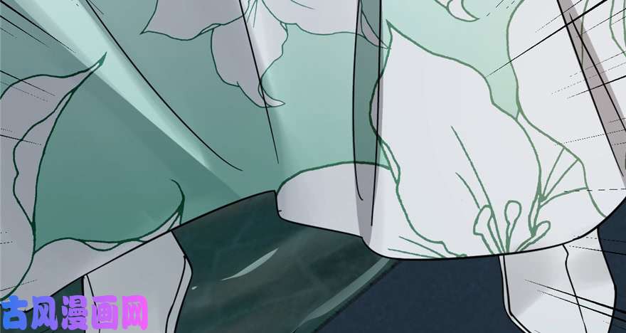 毒步天下：特工神医小兽妃72