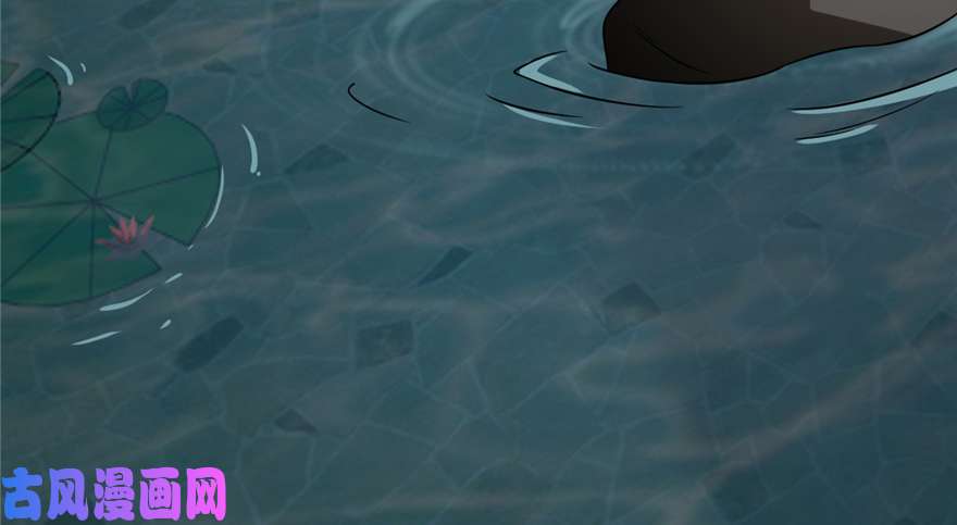 毒步天下：特工神医小兽妃72