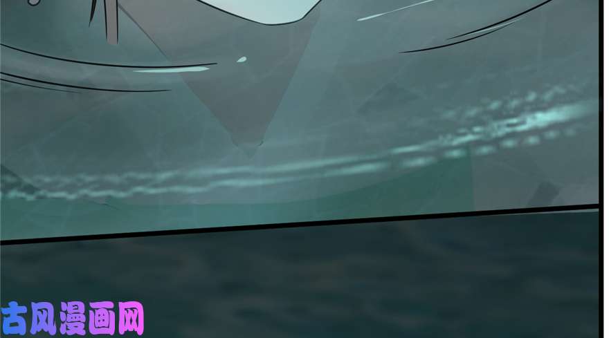 毒步天下：特工神医小兽妃72