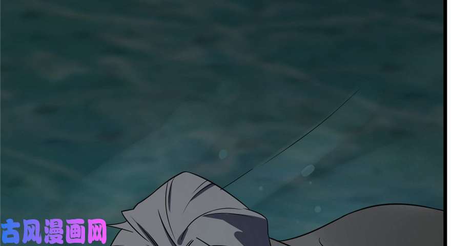 毒步天下：特工神医小兽妃72