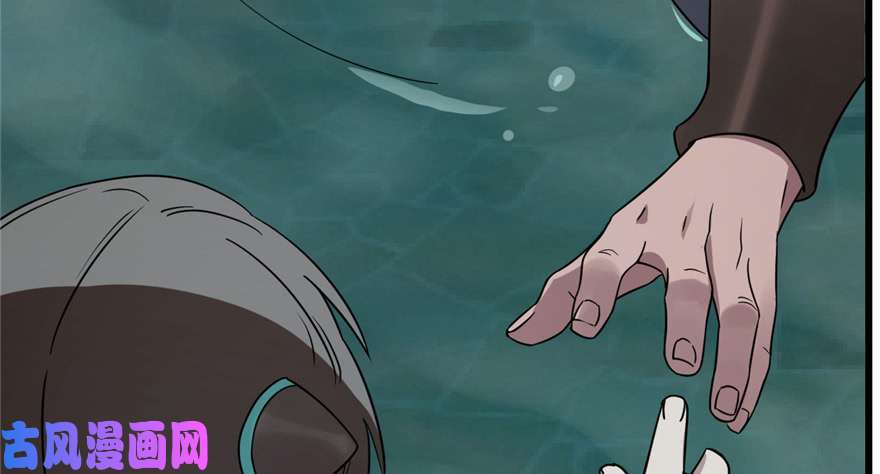 毒步天下：特工神医小兽妃72