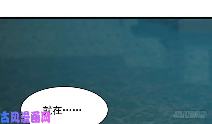 毒步天下：特工神医小兽妃73