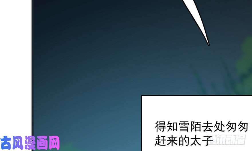毒步天下：特工神医小兽妃73