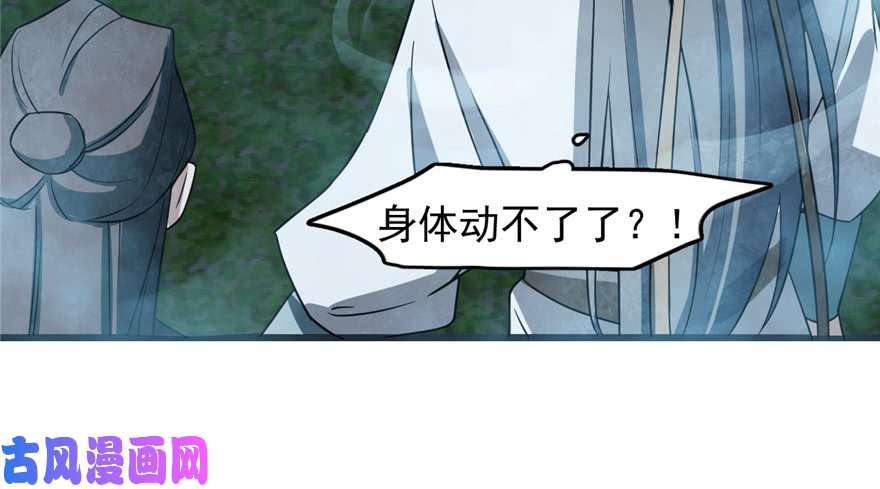 毒步天下：特工神医小兽妃73