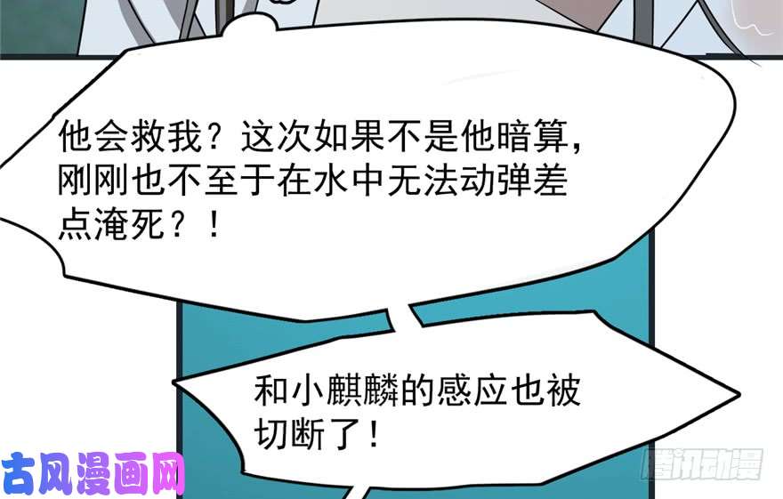 毒步天下：特工神医小兽妃73