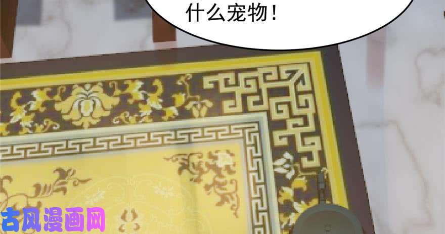 毒步天下：特工神医小兽妃74