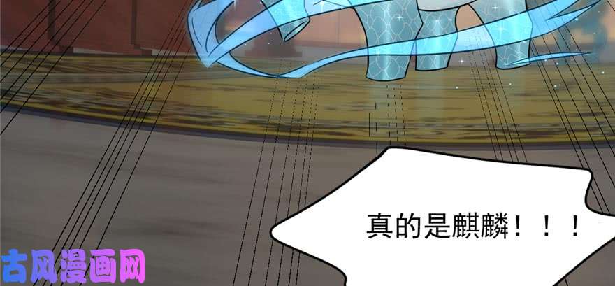 毒步天下：特工神医小兽妃74