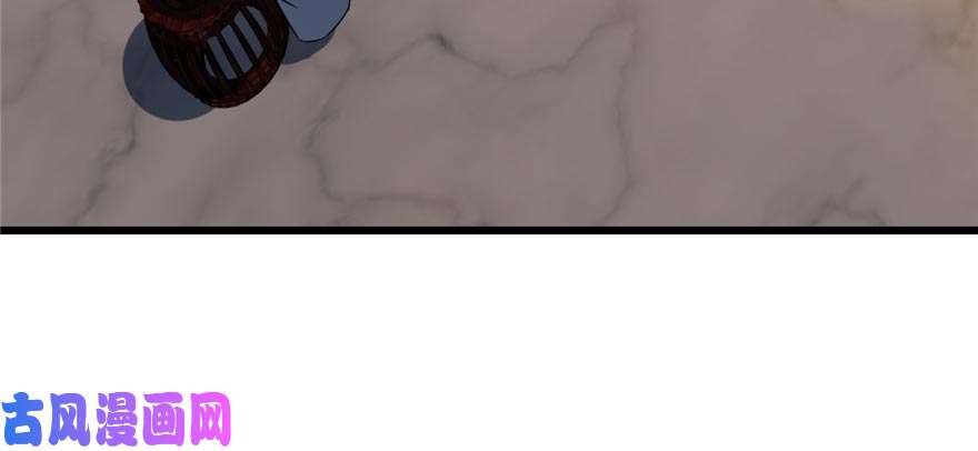 毒步天下：特工神医小兽妃74