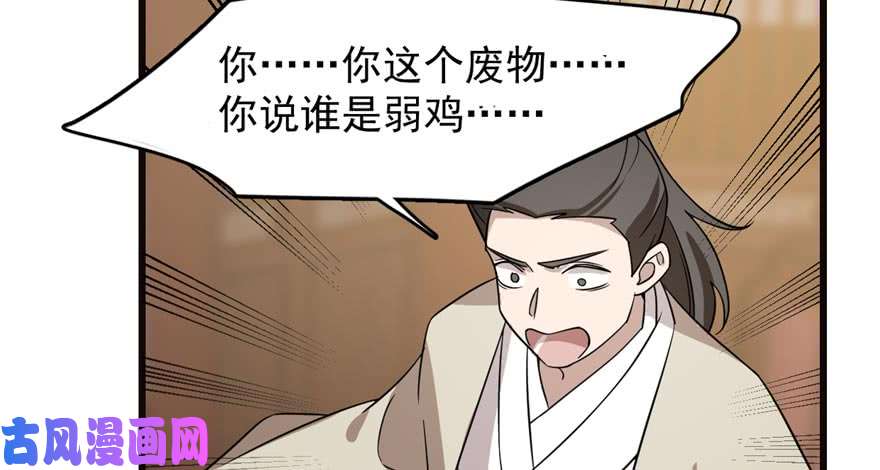 毒步天下：特工神医小兽妃74