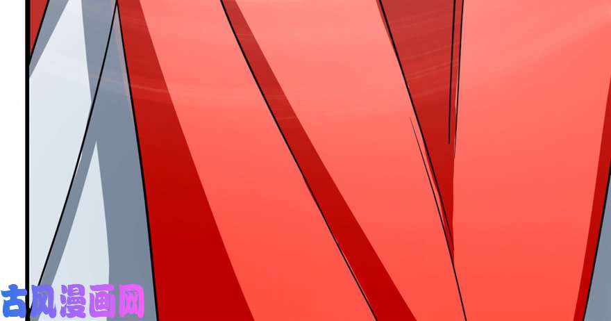 毒步天下：特工神医小兽妃77