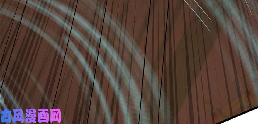 毒步天下：特工神医小兽妃77