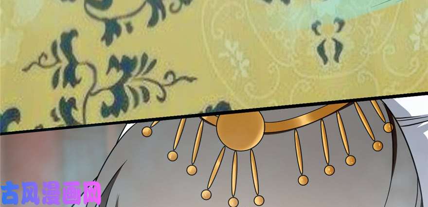 毒步天下：特工神医小兽妃77