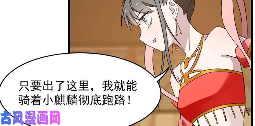 毒步天下：特工神医小兽妃78