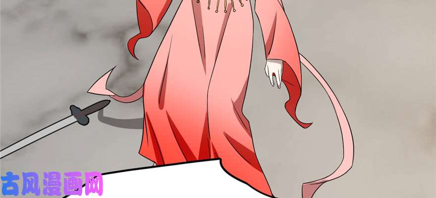 毒步天下：特工神医小兽妃78