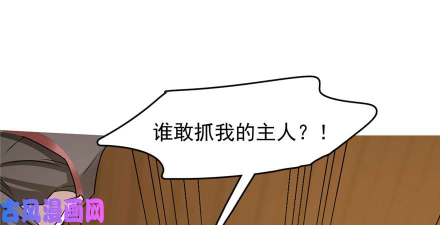 毒步天下：特工神医小兽妃78