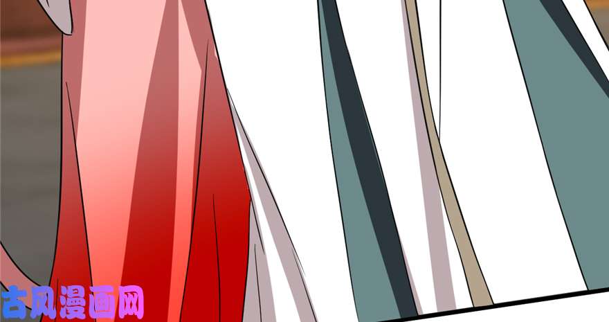 毒步天下：特工神医小兽妃78