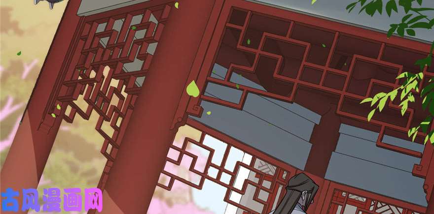 毒步天下：特工神医小兽妃80