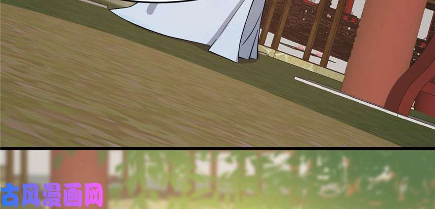 毒步天下：特工神医小兽妃80