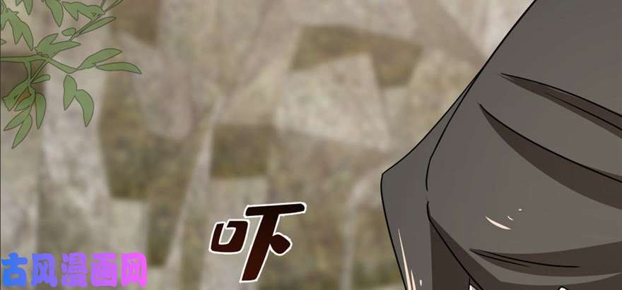 毒步天下：特工神医小兽妃80