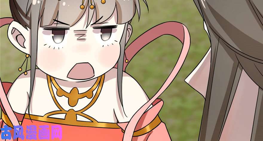 毒步天下：特工神医小兽妃80