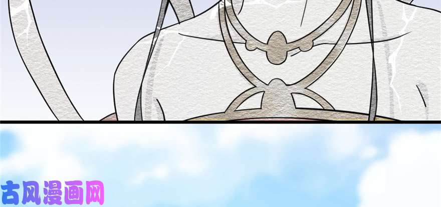 毒步天下：特工神医小兽妃80