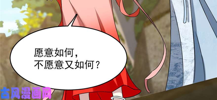 毒步天下：特工神医小兽妃80