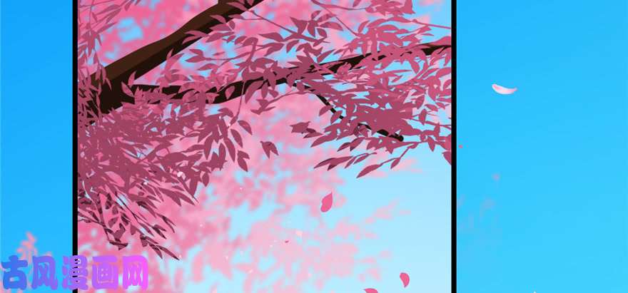 毒步天下：特工神医小兽妃81